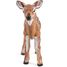 Figurine Faon de Virginie PA50219 Papo 4