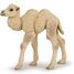 Figurine Bébé chameau PA50221 Papo 1