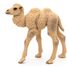 Figurine Bébé chameau PA50221 Papo 4