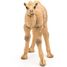 Figurine Bébé chameau PA50221 Papo 3