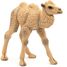 Figurine Bébé chameau PA50221 Papo 2