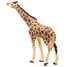Figurine Girafe tête levée PA50236 Papo 7