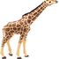 Figurine Girafe tête levée PA50236 Papo 2