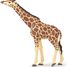 Figurine Girafe tête levée PA50236 Papo 1