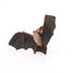 Figurine Chauve-souris PA50239 Papo 4