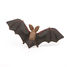 Figurine Chauve-souris PA50239 Papo 5