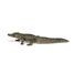 Figurine L'Alligator PA50254 Papo 6