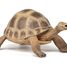 Figurine Tortue d'Hermann PA-50264 Papo 1