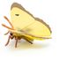 Figurine Papillon souci jaune PA-50288 Papo 4