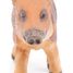 Figurine Marcassin PA-50289 Papo 2