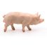 Figurine Verrat PA51044-2942 Papo 2