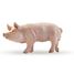 Figurine Verrat PA51044-2942 Papo 1