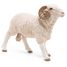 Figurine Bélier PA51129 Papo 4