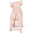 Figurine cochonnet femelle PA-51136 Papo 6
