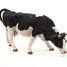 Figurine Vache noire et blanche broutant PA51150-3153 Papo 8