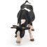 Figurine Vache noire et blanche broutant PA51150-3153 Papo 3
