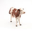 Figurine Vache Montbéliarde PA51165 Papo 4