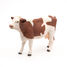 Figurine Vache Montbéliarde PA51165 Papo 6