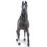 Figurine Cheval Arabe PA51505-2917 Papo 4