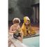 Cape de bain 70x130cm - Mr Lion TX-11-851 Trixie 5