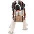Figurine Saint-Bernard PA-54009 Papo 2