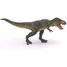 Figurine T-rex courant vert PA55027 Papo 4