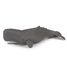 Figurine Cachalot PA56021 Papo 2