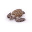 Figurine Tortue caouanne PA56005-2937 Papo 2