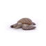 Figurine Tortue caouanne PA56005-2937 Papo 3