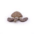 Figurine Tortue caouanne PA56005-2937 Papo 4