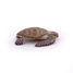Figurine Tortue caouanne PA56005-2937 Papo 6