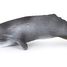 Figurine Cachalot PA56021 Papo 1