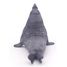 Figurine Eléphant de mer PA56032 Papo 4