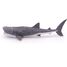 Figurine Requin baleine PA56039 Papo 5