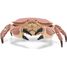 Figurine Crabe PA-56047 Papo 6