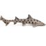 Figurine requin léopard PA-56056 Papo 3