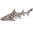 Figurine requin léopard PA-56056 Papo 4