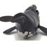 Figurine jeune baleine Franche PA-56057 Papo 3
