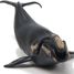 Figurine jeune baleine Franche PA-56057 Papo 2
