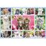Puzzle Chatons 100 pcs S-56135 Schmidt Spiele 3