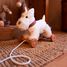 Lola le chien à tirer EG591036 Egmont Toys 5