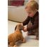 Edward le chien à tirer EG591038 Egmont Toys 10