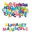 Magnets alphabet majuscule 77 pcs V6705 Vilac 3