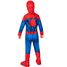 Déguisement Spider-man enfant 3-4 ans R702072FR-T34 Rubies 4