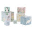 Cubes gigognes Animaux du monde V7104 Vilac 2