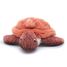 Peluche maman bébé tortue terracotta DE73502 Les Déglingos 5