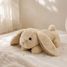 Peluche projecteur d'étoiles Lapin Cloudb-7472-BBN Cloud b 2