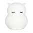 Petite veilleuse Hibou UL-8114 Ulysse 1