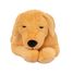Chien en peluche lesté 2,2 kg As-84680 ByAstrup 2