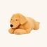 Chien en peluche lesté 2,2 kg As-84680 ByAstrup 5